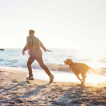Apartamento Sonnenberg- 5-sterne Komfort Mit Blick Auf Ostsee Und Bodden *